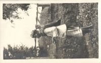 Postcard 608