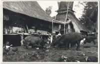 Postcard 612