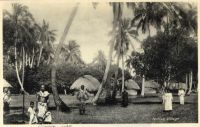 Postcard 619